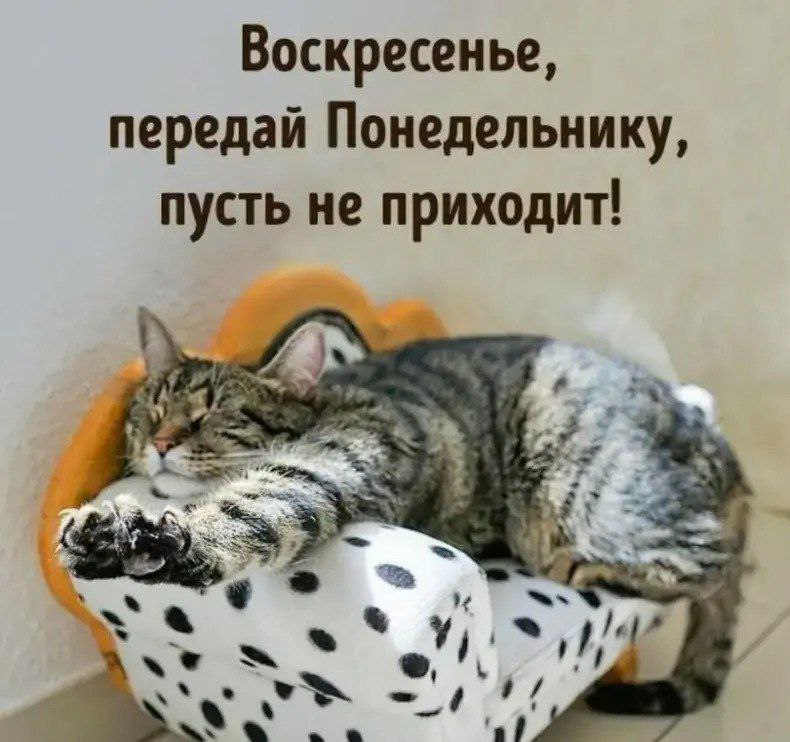 d3lk12usmbqu4n9g1c8g