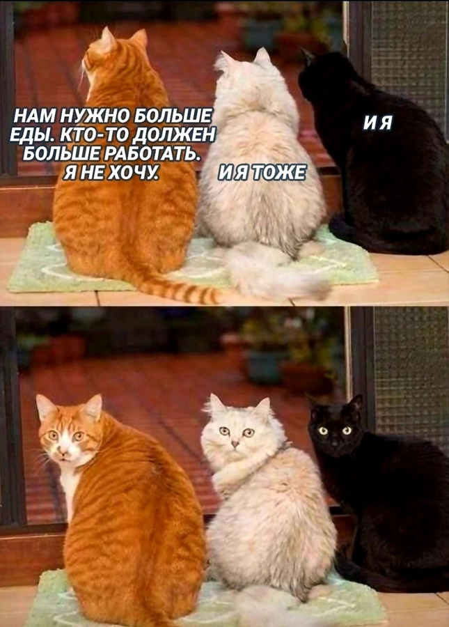 d4hrc3esmbqida6vs900