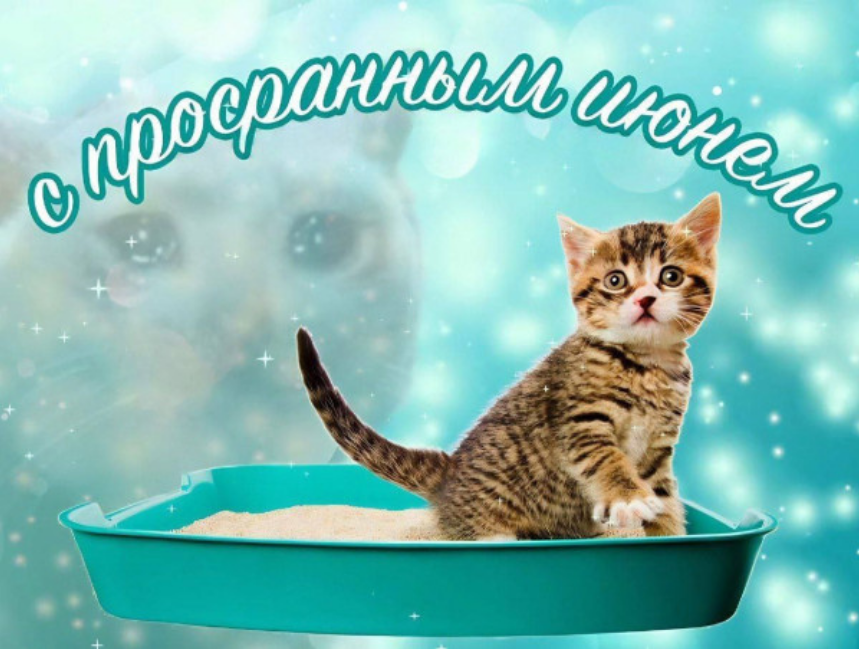 d1hcssusmbqrc6m24k50