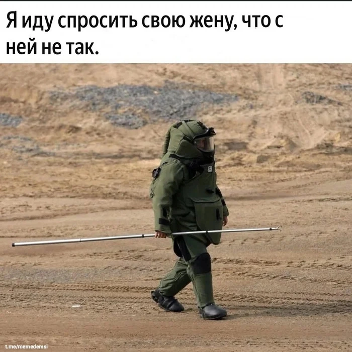 d00dlgmsmbqjd6bgtcj0