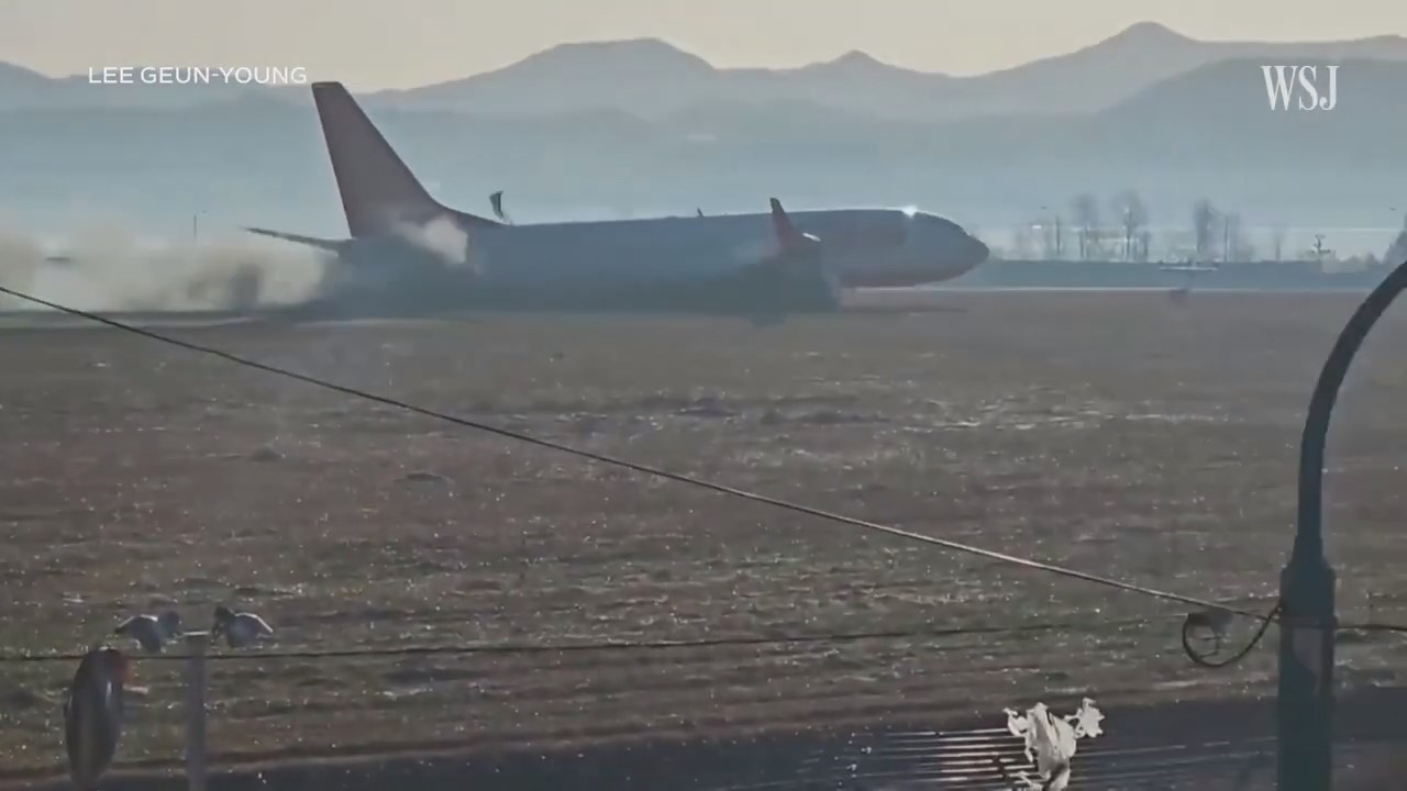 ctog29cigdgh5mog08j0