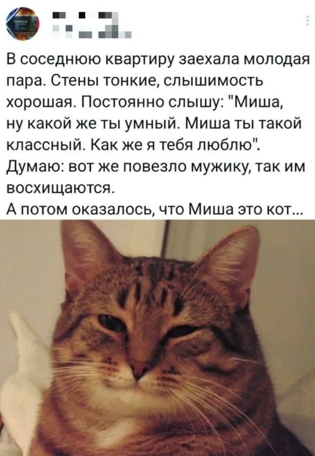 d8fdrkusmbql19m1lmh0