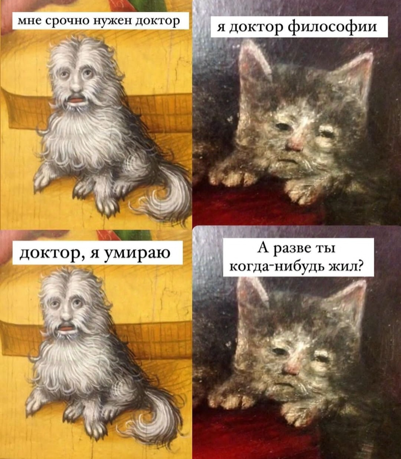 cs3ofk4igdgommuq4mag