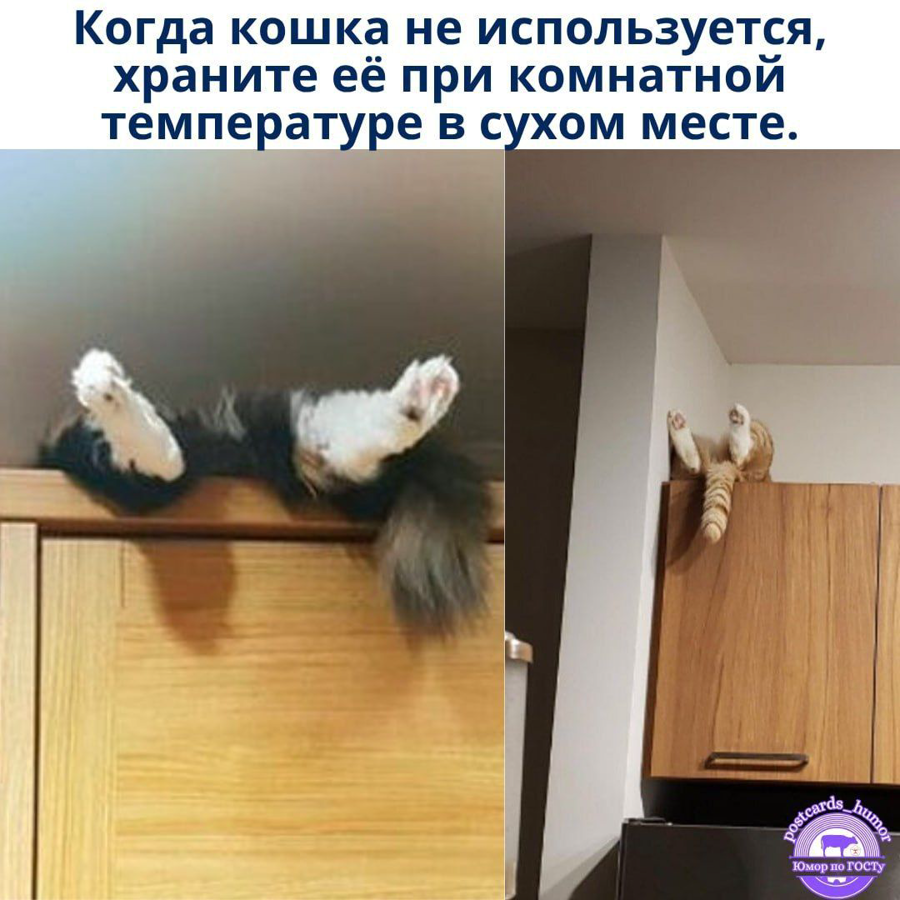 d2nhidesmbqnkm1irjpg