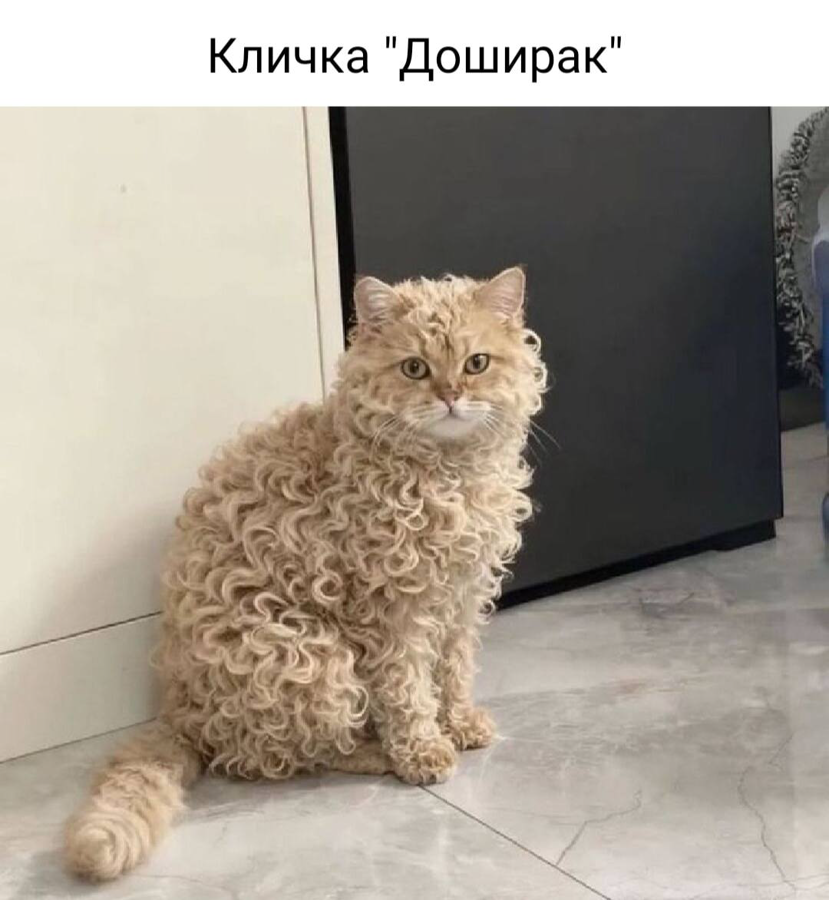 d5himkesmbqt5jgmdgig